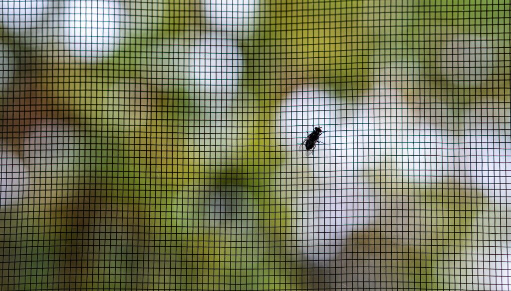 Insektenschutz mit Stil durch Fliegengitter für Designliebhaber