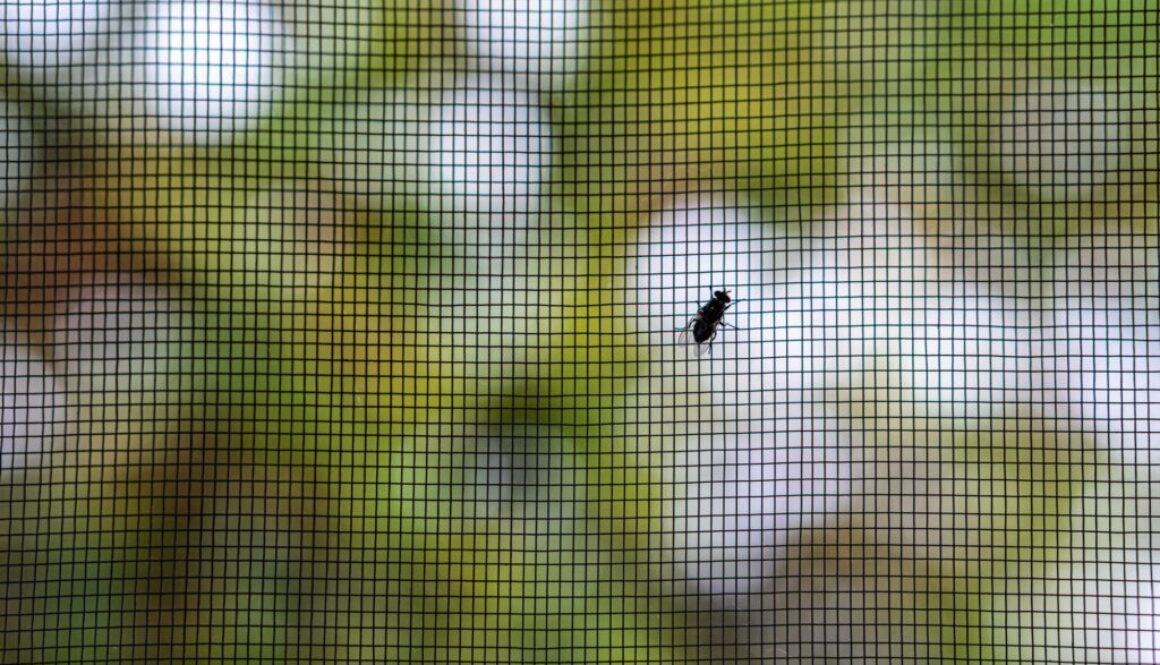 Insektenschutz mit Stil durch Fliegengitter für Designliebhaber